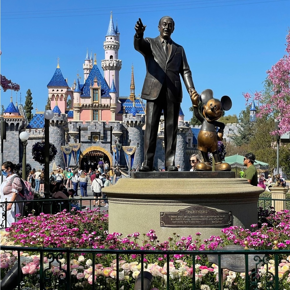 ✨Disney Parks Personal Shopper